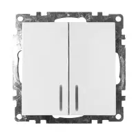 Механизм выключателя двухклавишный СП 220V, 10А, c индикатором, белый (GLS10-7102-01) Катрин STEKKER
