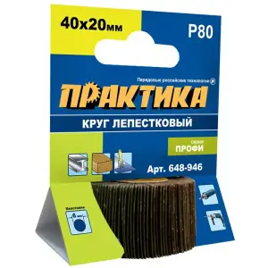 Круг лепестковый веерный с оправкой 40х20мм, P 80, хвостовик 6 мм, серия Профи, ПРАКТИКА