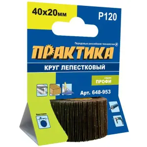 Круг лепестковый веерный с оправкой 40х20мм, P120, хвостовик 6 мм, серия Профи, ПРАКТИКА