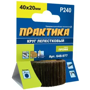 Круг лепестковый веерный с оправкой 40х20мм, P240, хвостовик 6 мм, серия Профи, ПРАКТИКА