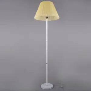 Торшер РС20536 WT+FG/1F (shade+body)*