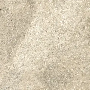 Керамогранит GLOBAL TILE Авентин/Aventin Серо-беж. пол 41,2x41,2*8мм арт.GT169VG